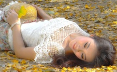 高n车多肉多细节